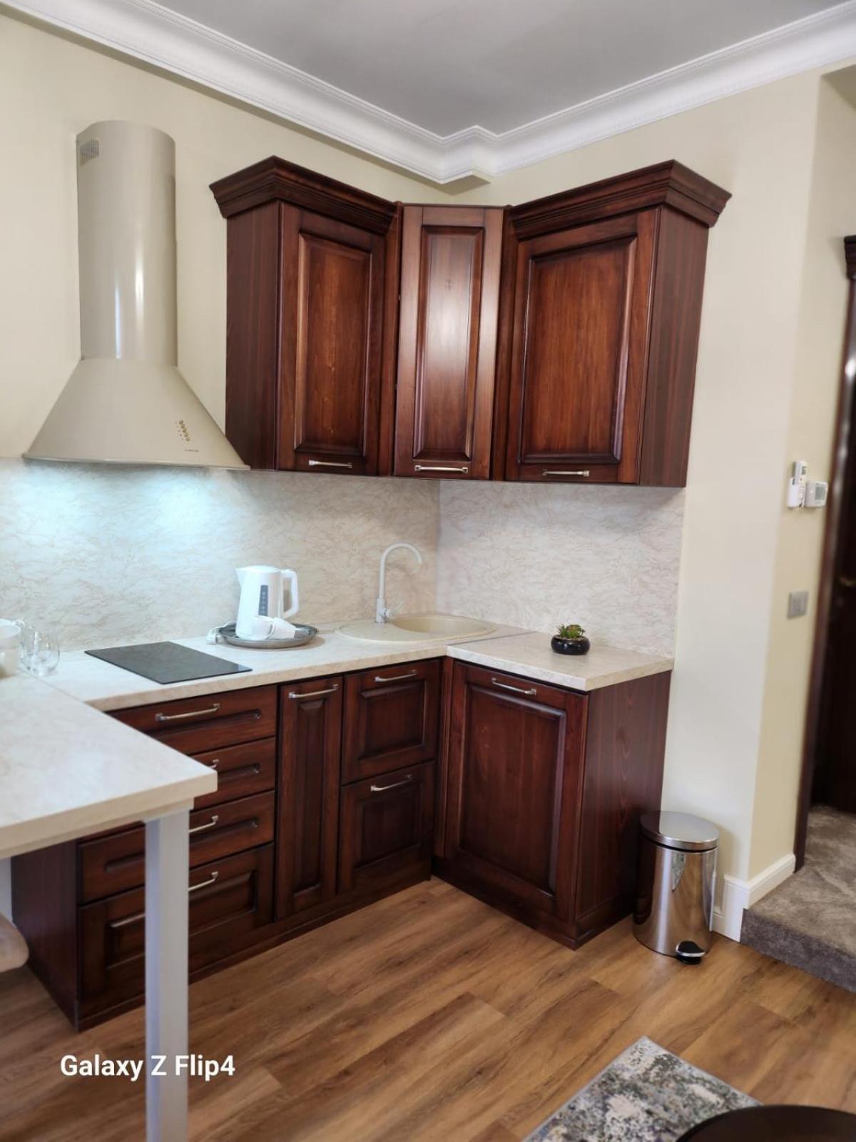 Imperial Studio Sibiu Extérieur photo
